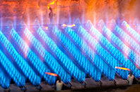 Polsloe gas fired boilers
